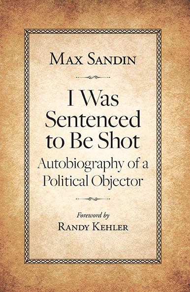 Max Sandin book cover