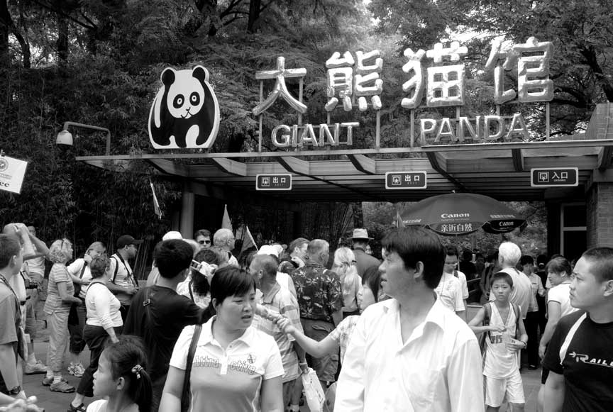 Panda Exhibit entrance