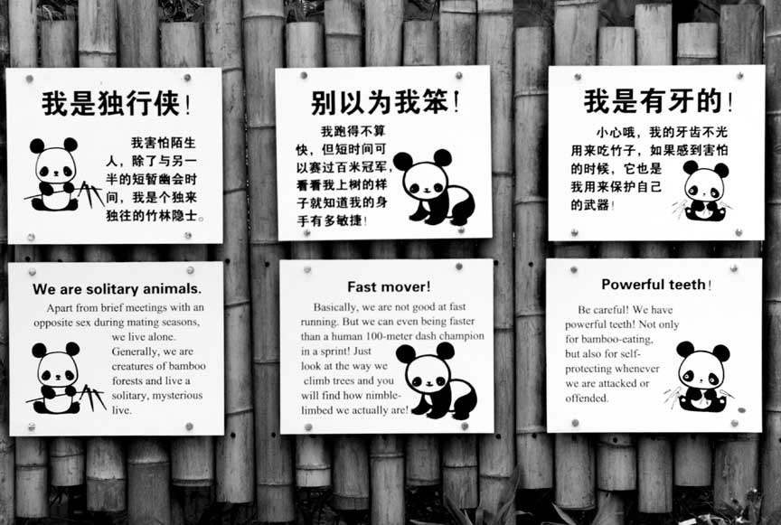 panda signs
